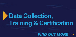services-data-collection